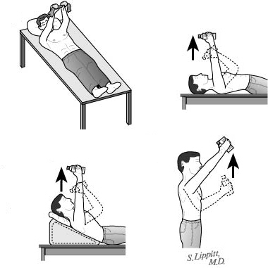 Deltoid Press