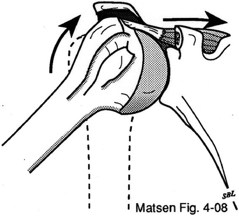 Figure 1 - Glenohumeral joint