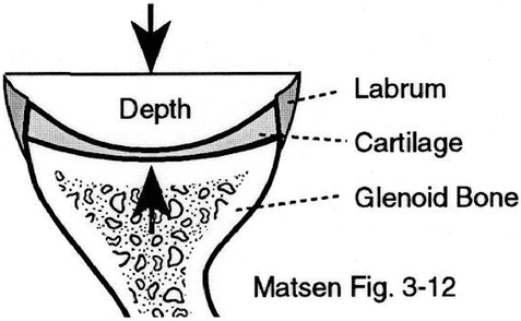 Figure 4 - Socket