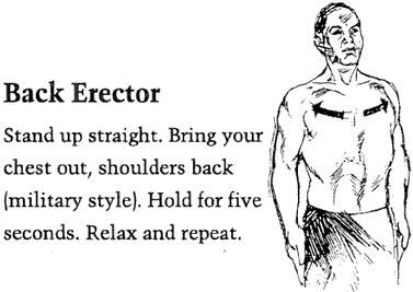 Figure 4 - Back erector