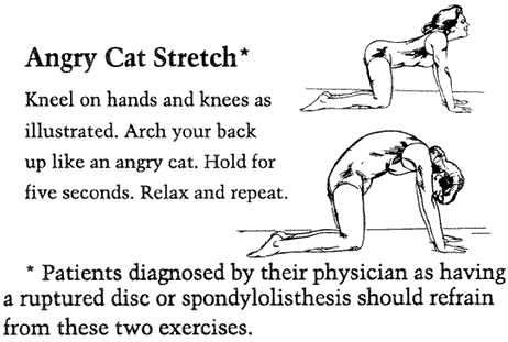 Figure 5 - Angry cat stretch
