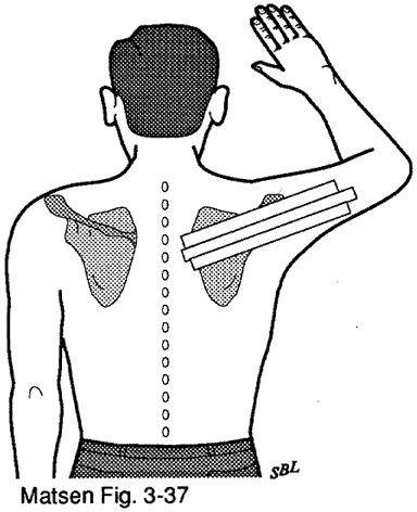 home exercises for the