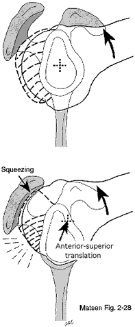 Figure 9 - Shoulder flexion