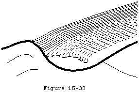 Figure 31