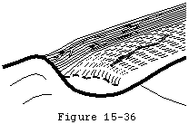 Figure 34