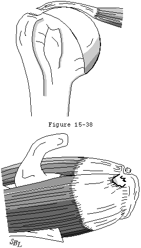 Figure 36