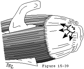 Figure 37