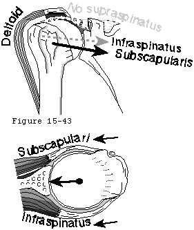 Figure 42