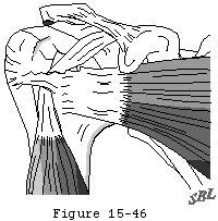 Figure 45