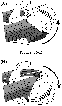 Figure 21