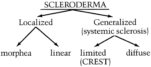 Figure 1 - Types of scleroderma