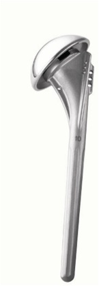FIGURE 1: Humeral component that is used for both Total Shoulder Arthroplasty and the ‘Ream and Run’ procedure. The stem is titanium and the ball is metal alloy.