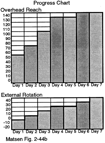 Figure 8 - Sample progress chart