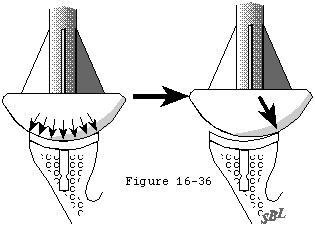 Figure 23