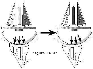 Figure 24