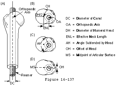 Figure 29