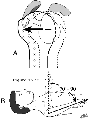 Figure 43