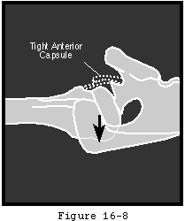 Figure 55