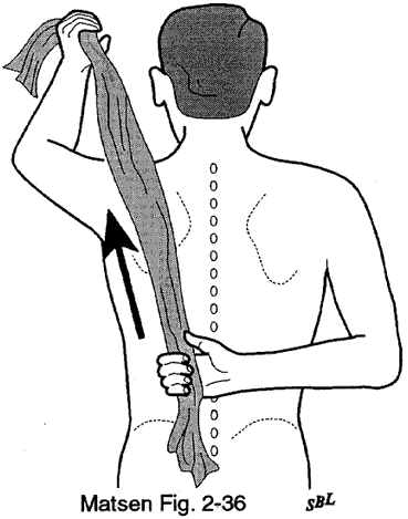 Figure 63