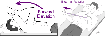 Figure 8 - Shoulder exercises
