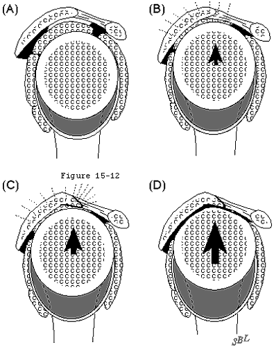 Figure 76