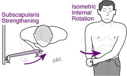 Bankart Lesion Bankart Lesion Fig 20 - Example of shoulder exercise