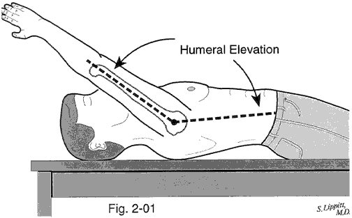 Figure 1 - Forward flexion
