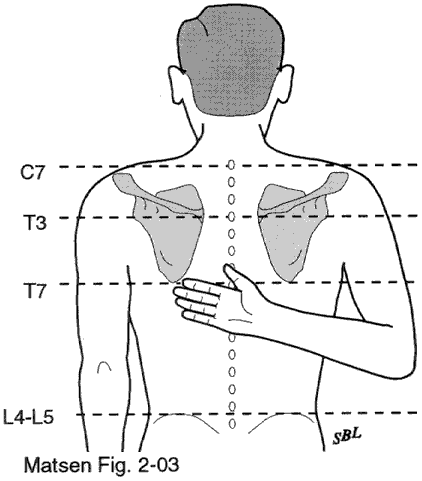 Figure 3 - Internal rotation