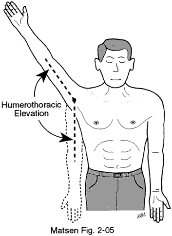 Angle of humerothoracic elevation