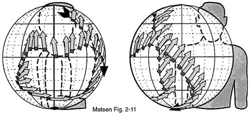 Series of points and arrows