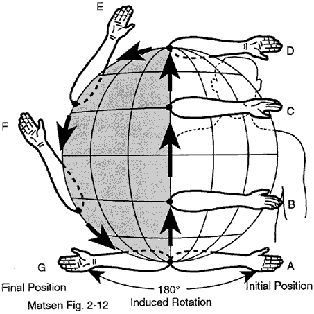 Codman's paradox movement sequence
