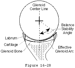 Figure 29