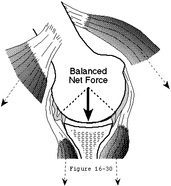 Figure 33