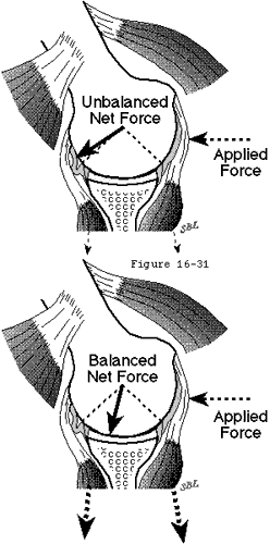Figure 34