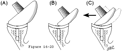 Figure 20
