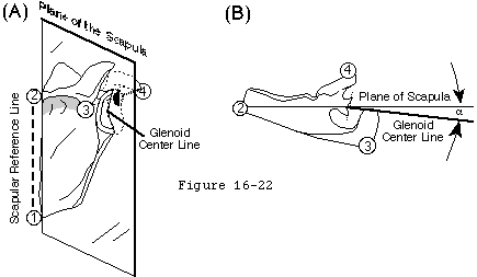 Figure 22