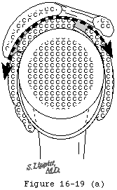 Figure 44