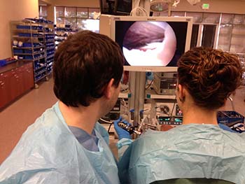 Arthroscopy Course 2013